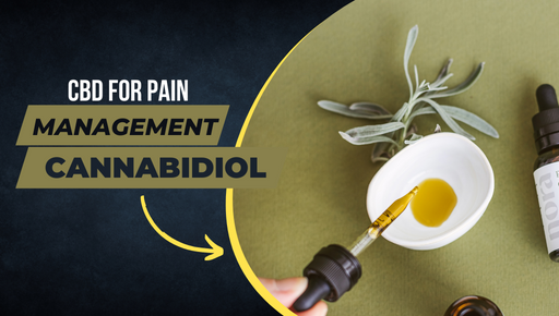 CBD for Pain Management, How Does Cannabidiol Treat Chronic Pain?